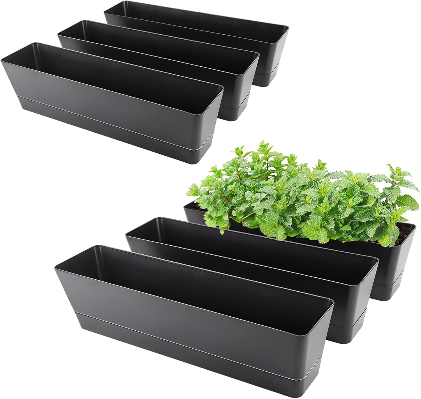 GREANER Rectangle Window Boxes for Indoor and Outdoor Use