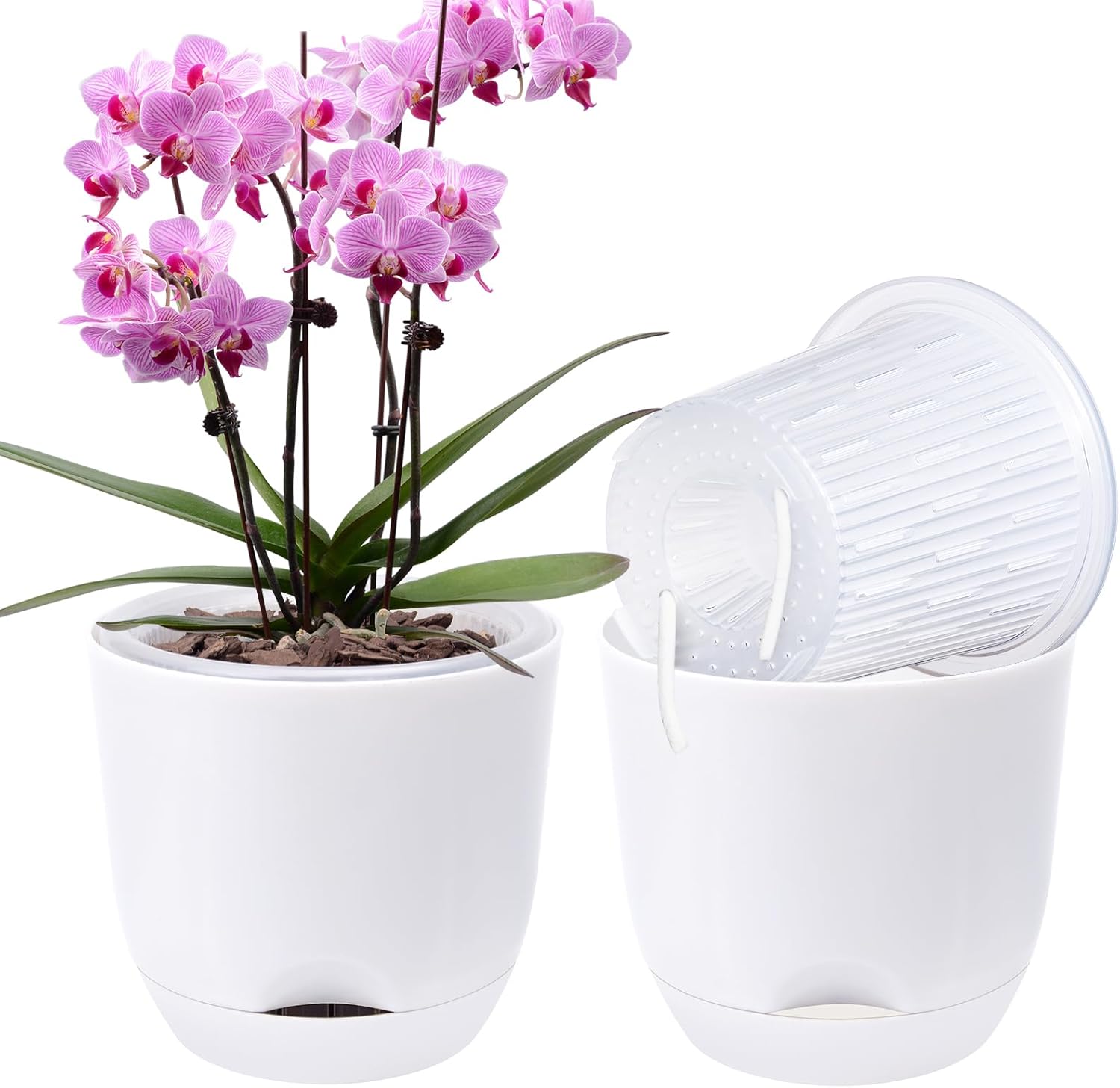 QCQHDU Orchid Pots with Holes for Repotting and Self Watering