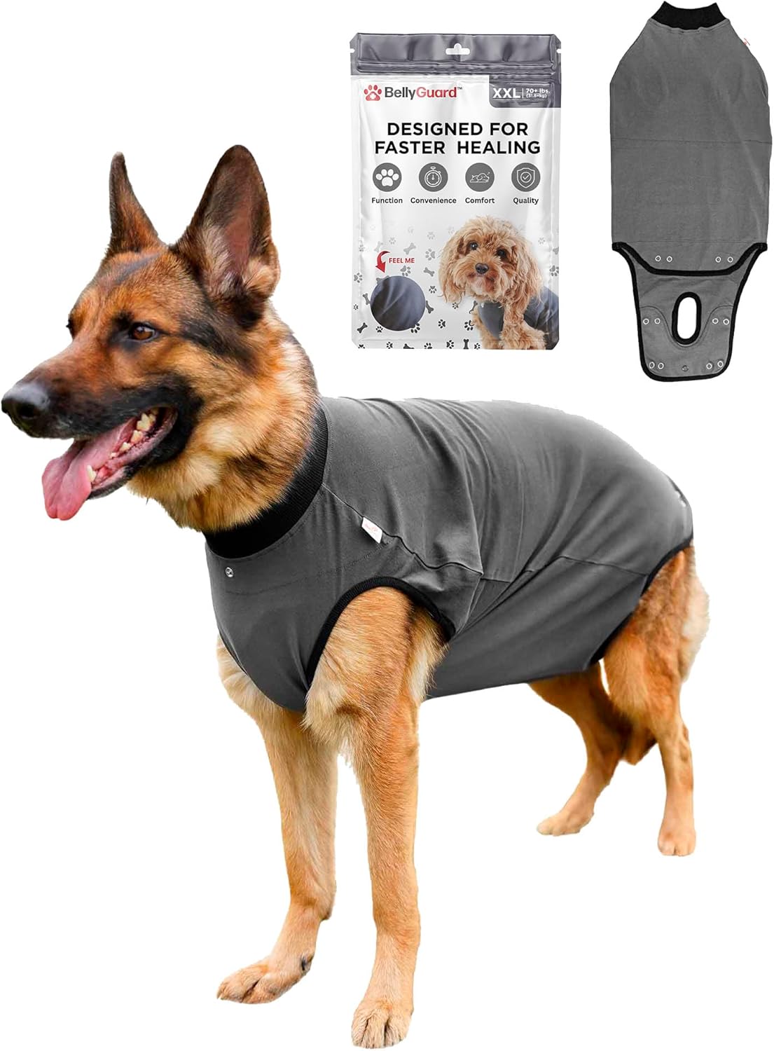 BellyGuard Recovery Suit for Dogs - Comfy Post-Op Care Onesie