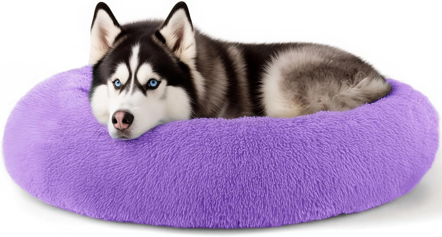 Extra Large Dog Beds for Comfort and Anxiety Relief