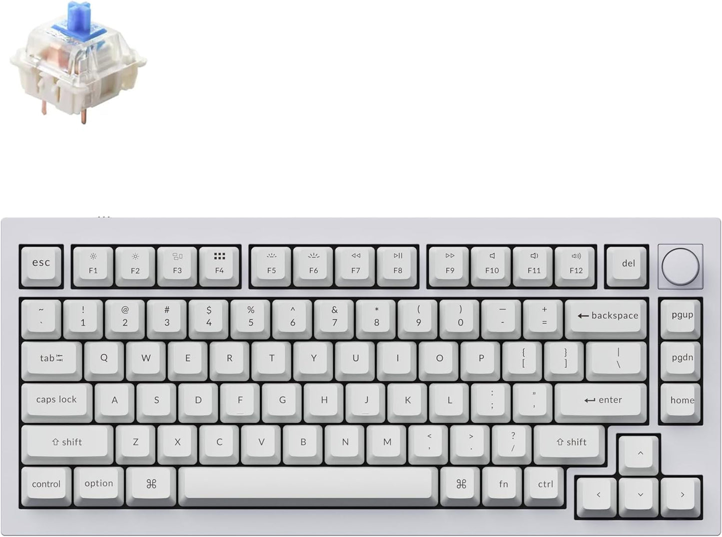 Keychron Q1 RGB Mechanical Keyboard - Hot-swappable Gateron G Pro Blue Switch