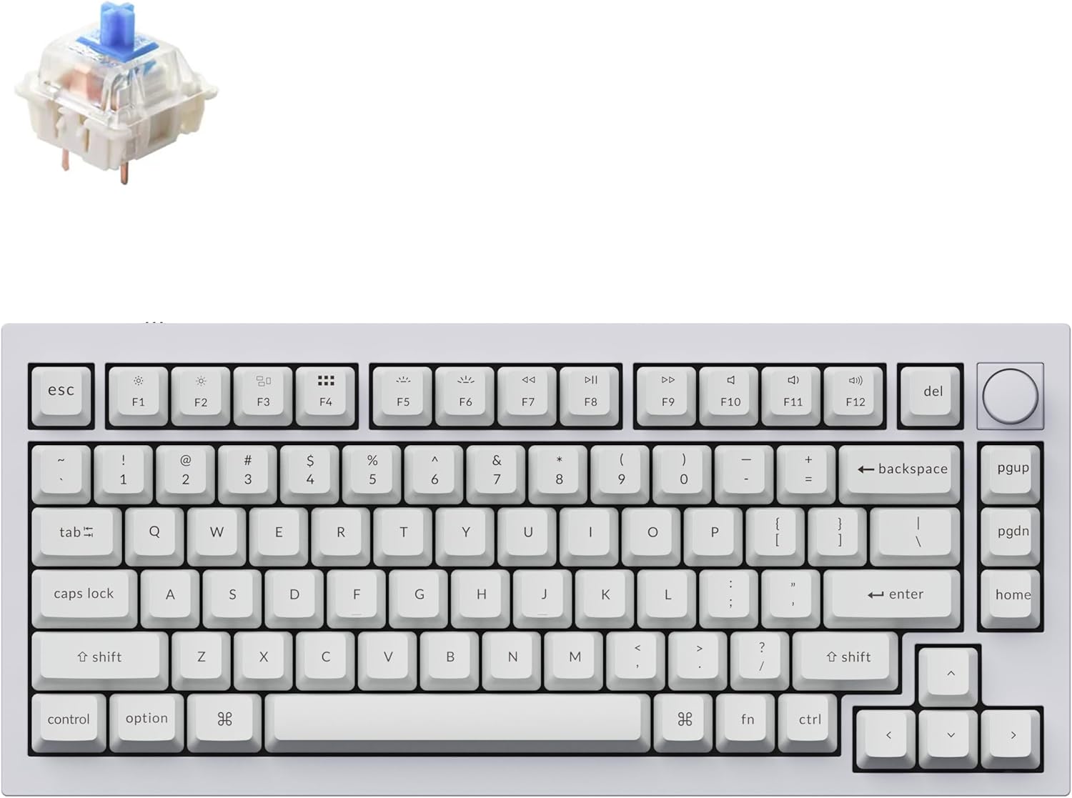Keychron Q1 RGB Mechanical Keyboard - Hot-swappable Gateron G Pro Blue Switch