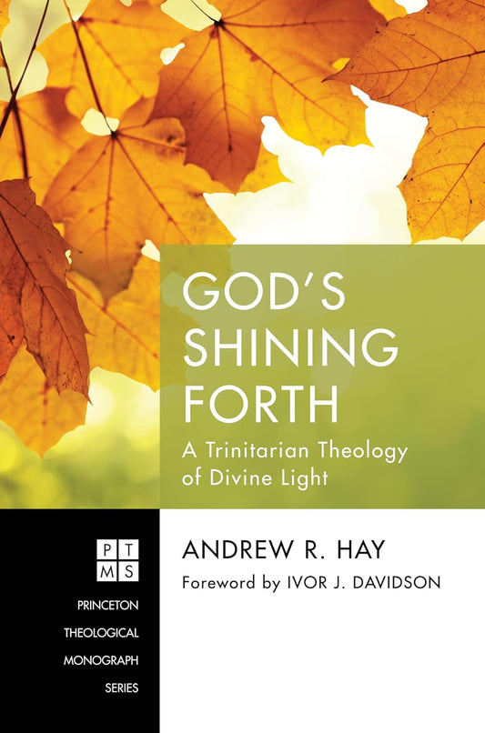 God's Shining Forth: A Trinitarian Theology of Divine Light
