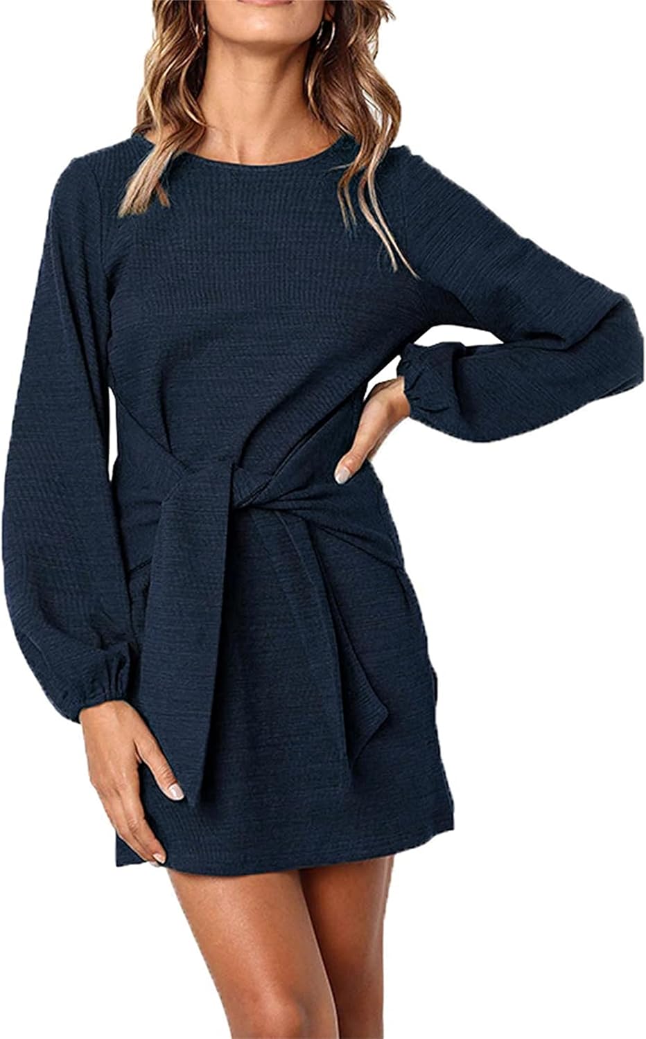 PRETTYGARDEN Womens Fall Elegant Long Lantern Sleeve Dress