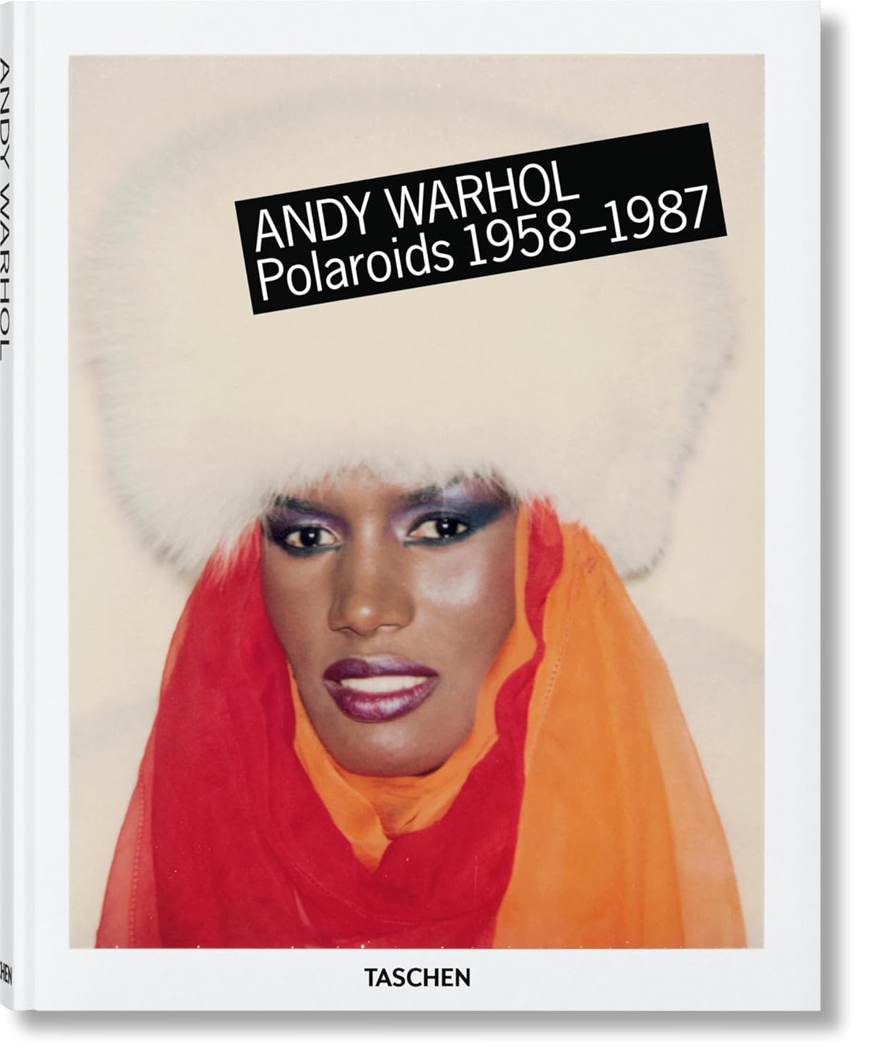 Andy Warhol Polaroids Multilingual Edition Book Review
