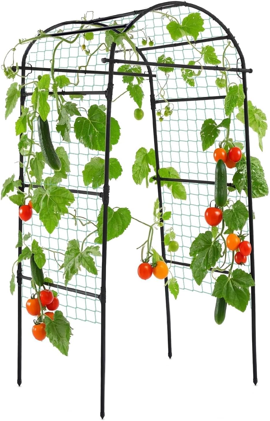 Lalahoni Garden Arch Trellis for Climbing Plants Outdoor