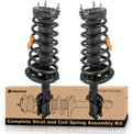 Rear Complete Strut Spring Shock Absorber Assembly - Fit 2002-2003