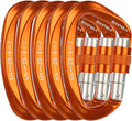 Screwgate Locking Carabiner Clip 5-Pack - Heavy Duty D Shape
