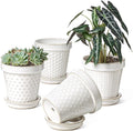 Ceramic Plant Pots 6 in with Drainage & Saucer - Set of 4