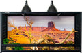 Reptile Tank 44in x 20in x 20in PVC Enclosure 76 Gal - Spacious