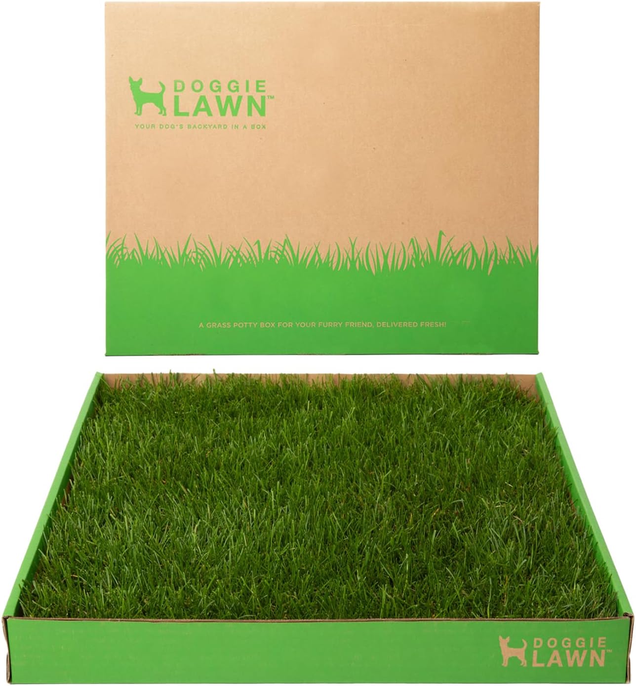 DoggieLawn Real Grass Puppy Pee Pads for Easy Potty Training