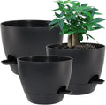 Large Self Watering Pots 12/10/9 in Set - Deep Reservoir for Easy Care