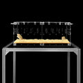 GuineaLoft Acrylic Cage Model-P3 - Small 2x1 ft Enclosed Cage