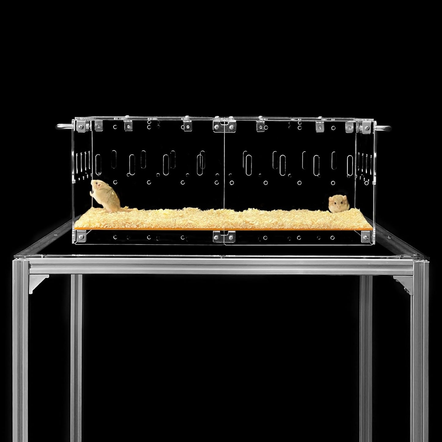 GuineaLoft Acrylic Cage Model-P3 for Small Pets and Transport