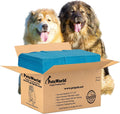 Enormous Dog Training & Potty Pads 37x54 in - XXL Leak Protection