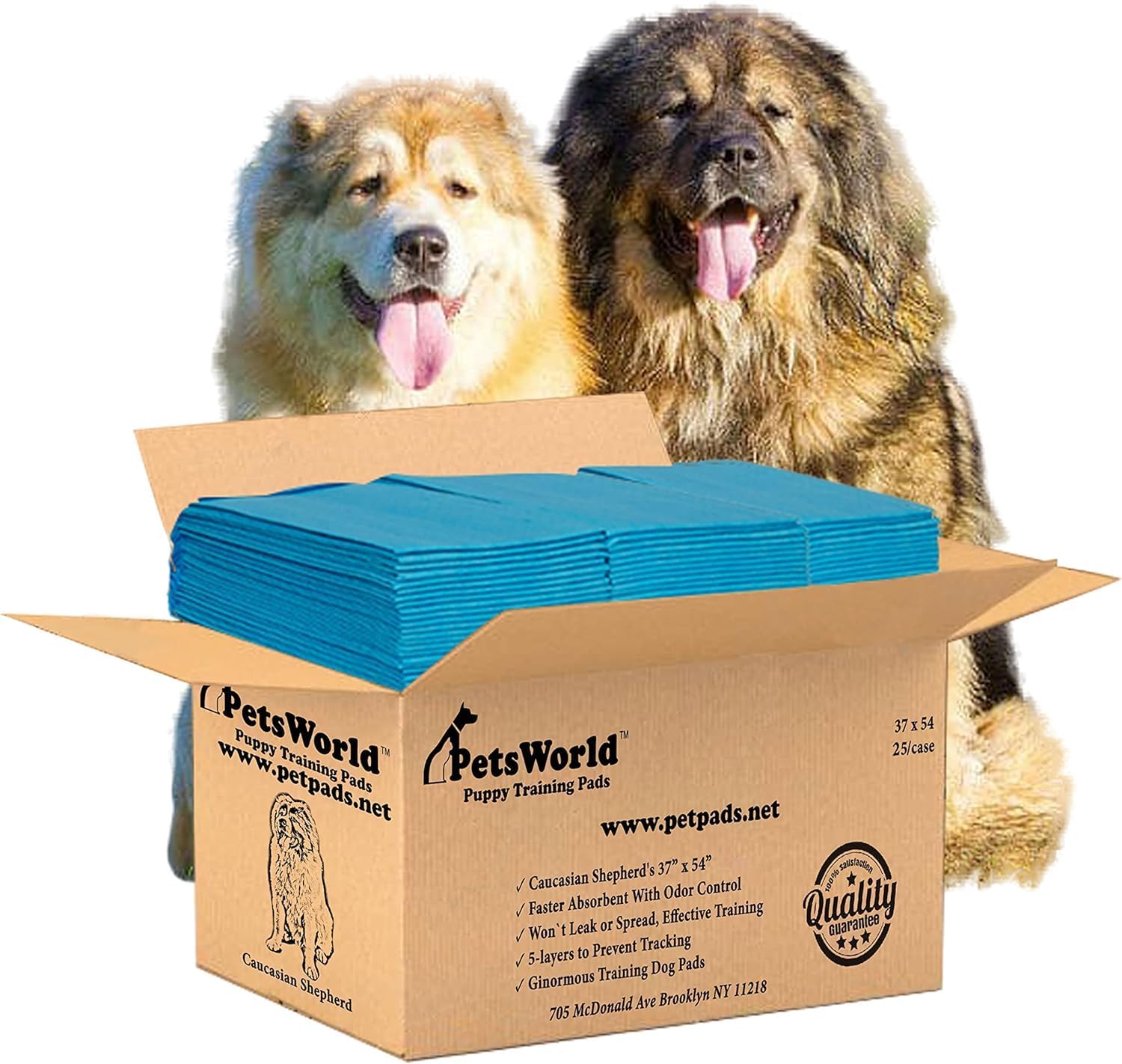 PETSWORLD Enormous Dog Training Pads for All Pet Needs