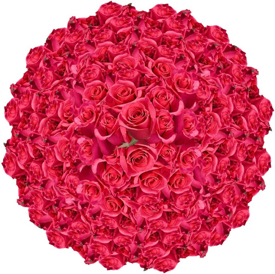 Fresh Cut Hot Pink Roses Bouquet for Every Special Occasion