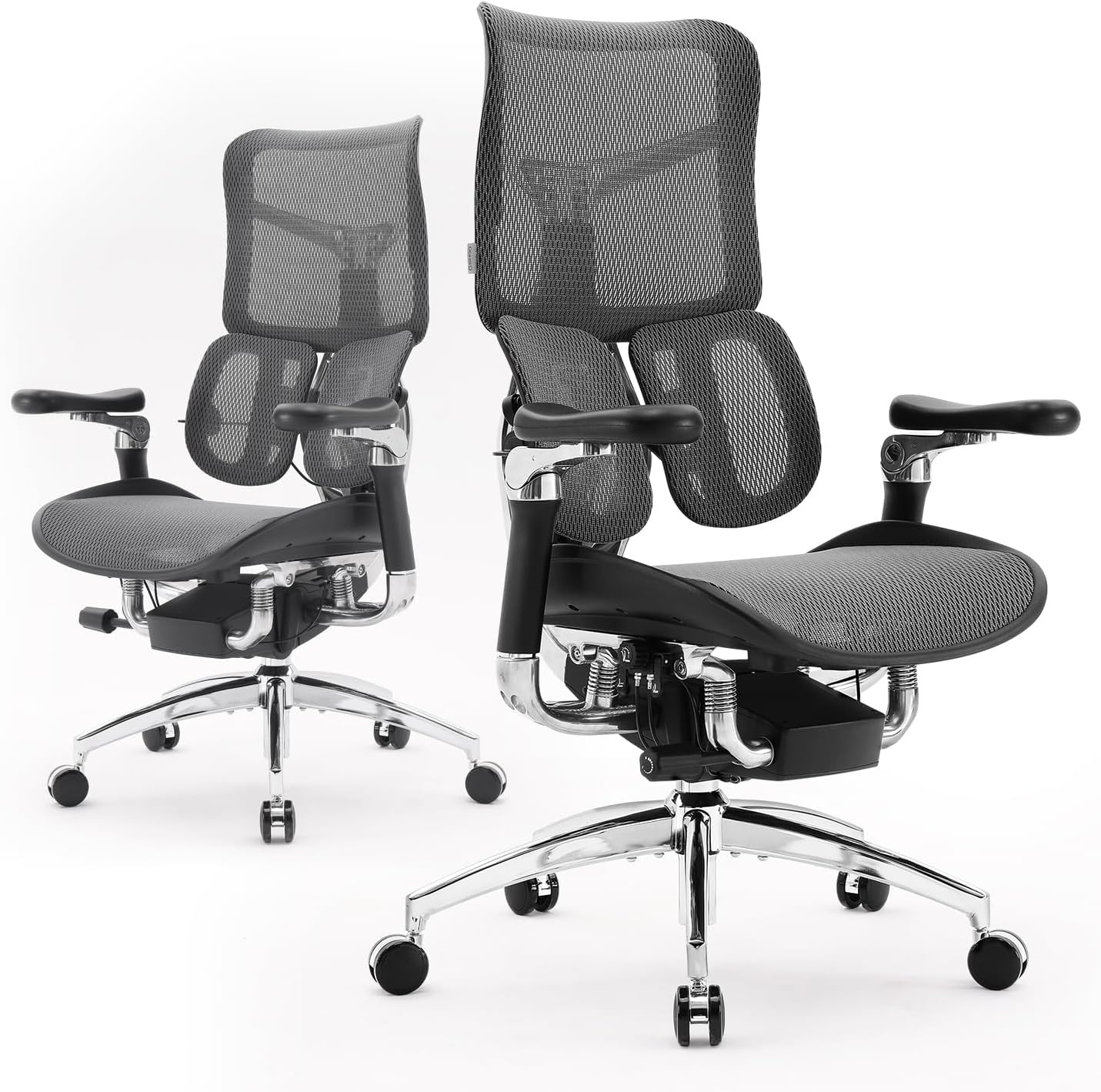 SIHOO Doro S300 Ergonomic Office Chair - Dual Lumbar Support