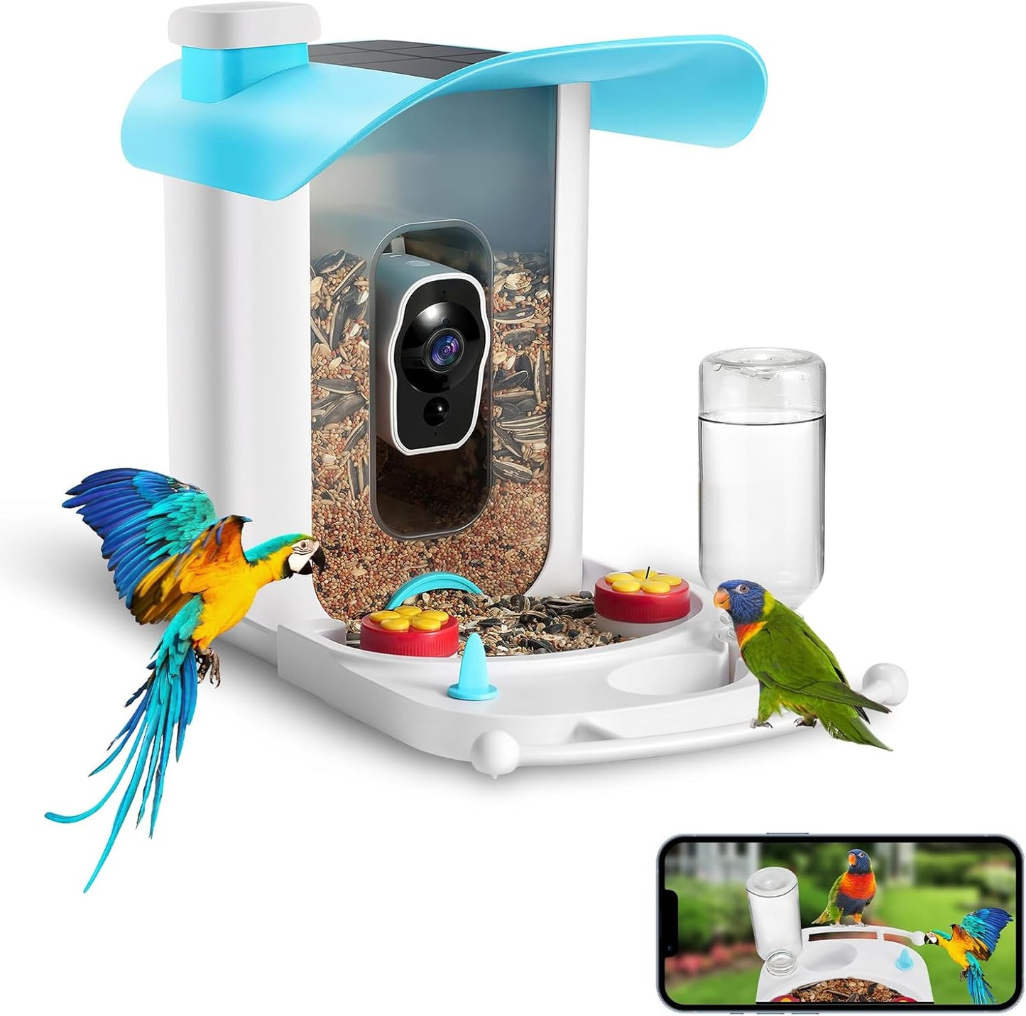 HD Bird Feeder Cam - Capture Birds in HD!