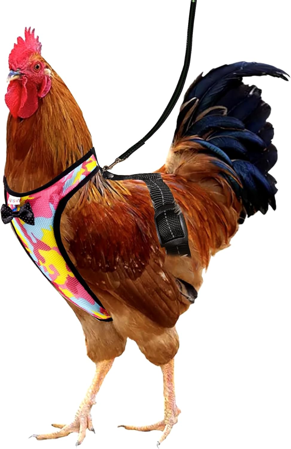 Adjustable Chick Harness Set - Comfortable & Stylish ~ Pink