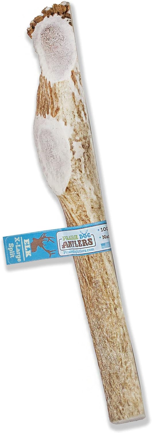 Prairie Dog Antlers for Dogs - Naturally Shed X-LARGE Chews