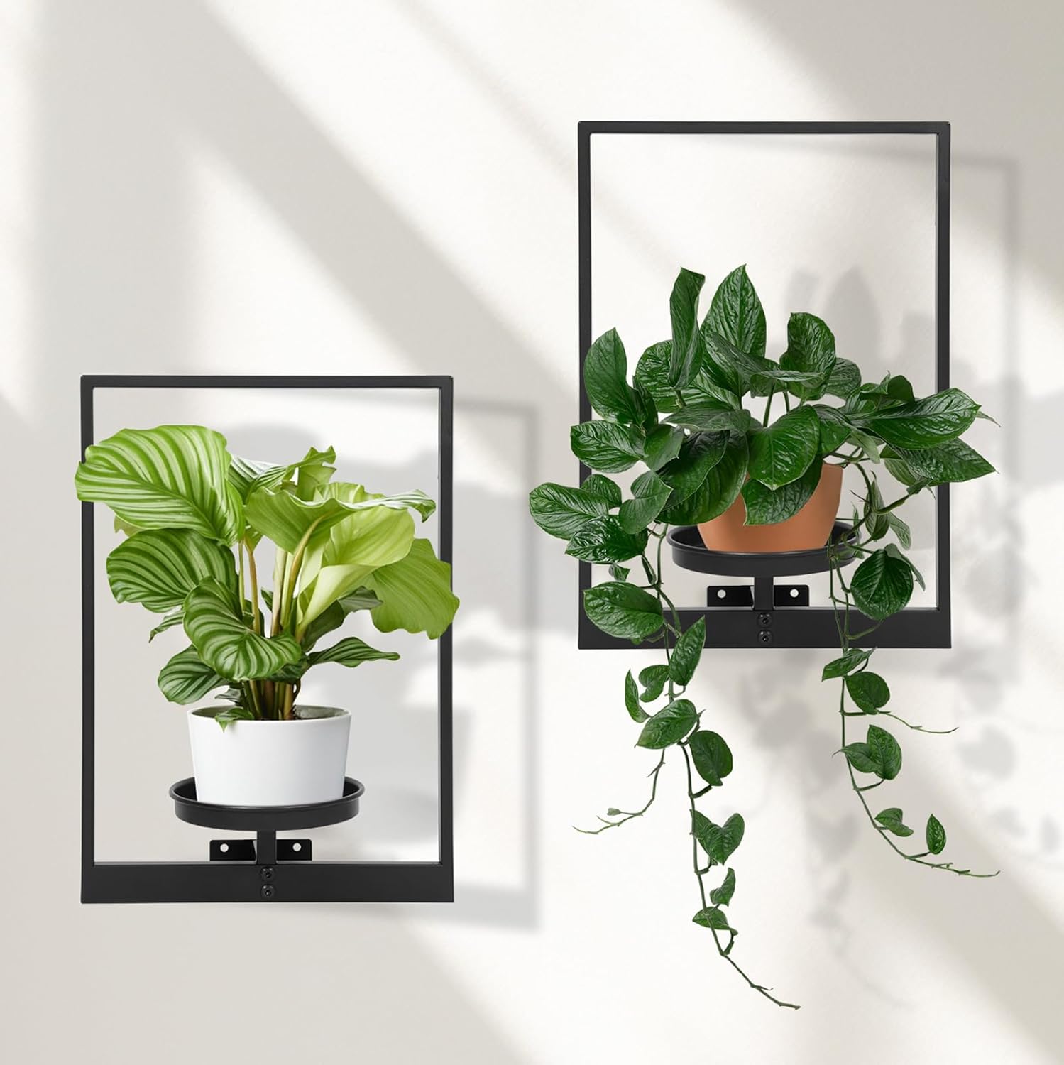 Unique Wall Plant Holder Set of 2 for Indoor Outdoor Decor