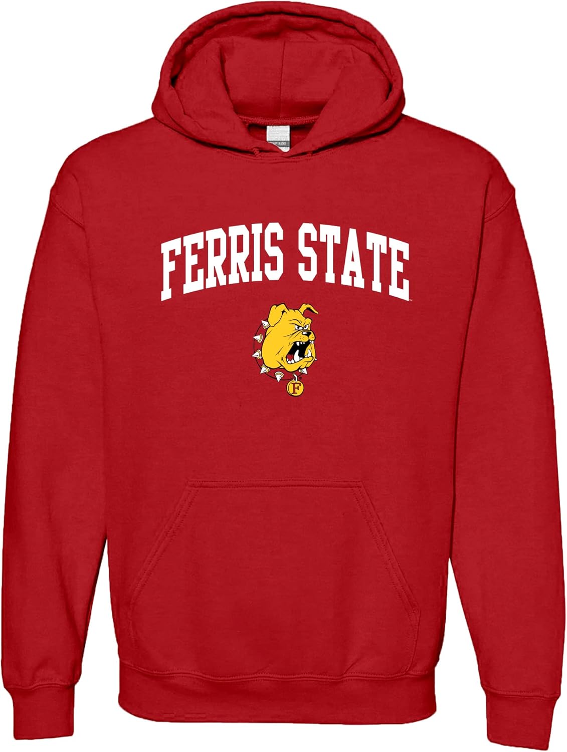 NCAA Officially Licensed College Arch Logo Hoodie for Fans