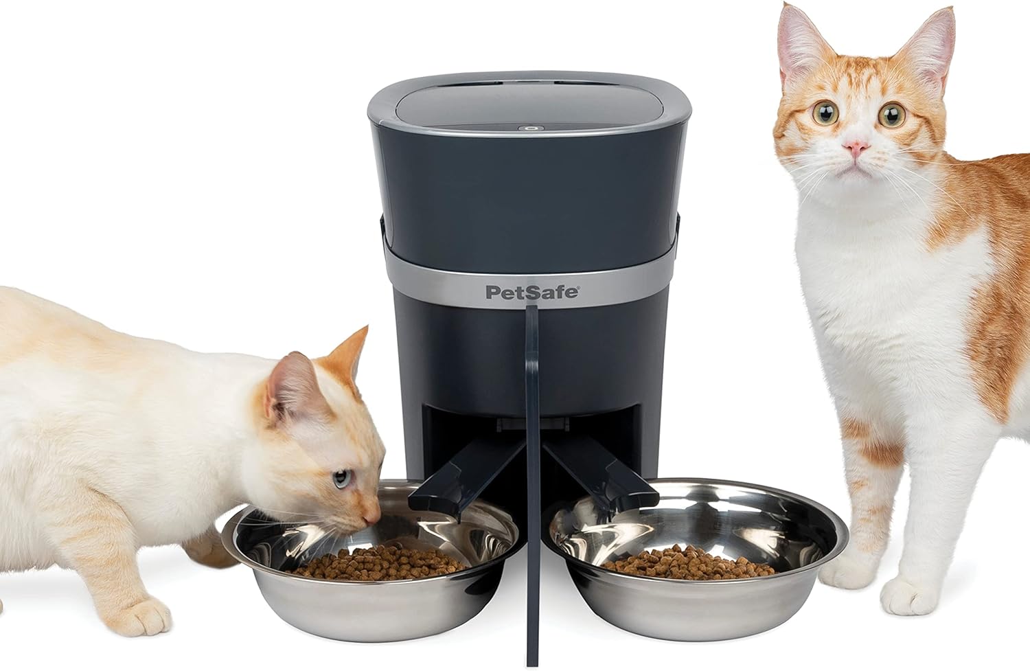 PetSafe Smart Feed Automatic Pet Feeder for Cats and Dogs