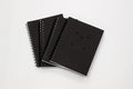 Livescribe A5 Spiral Smart Ruled Notebook for LivePen - Compact 4-Pack