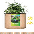 20 Gallon 10 Pack Grow Bags Nonwoven Fabric Pots - Durable Root Health