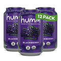 Humm Kombucha Blackberry Organic 12 Pack - Low Sugar Probiotic Drink