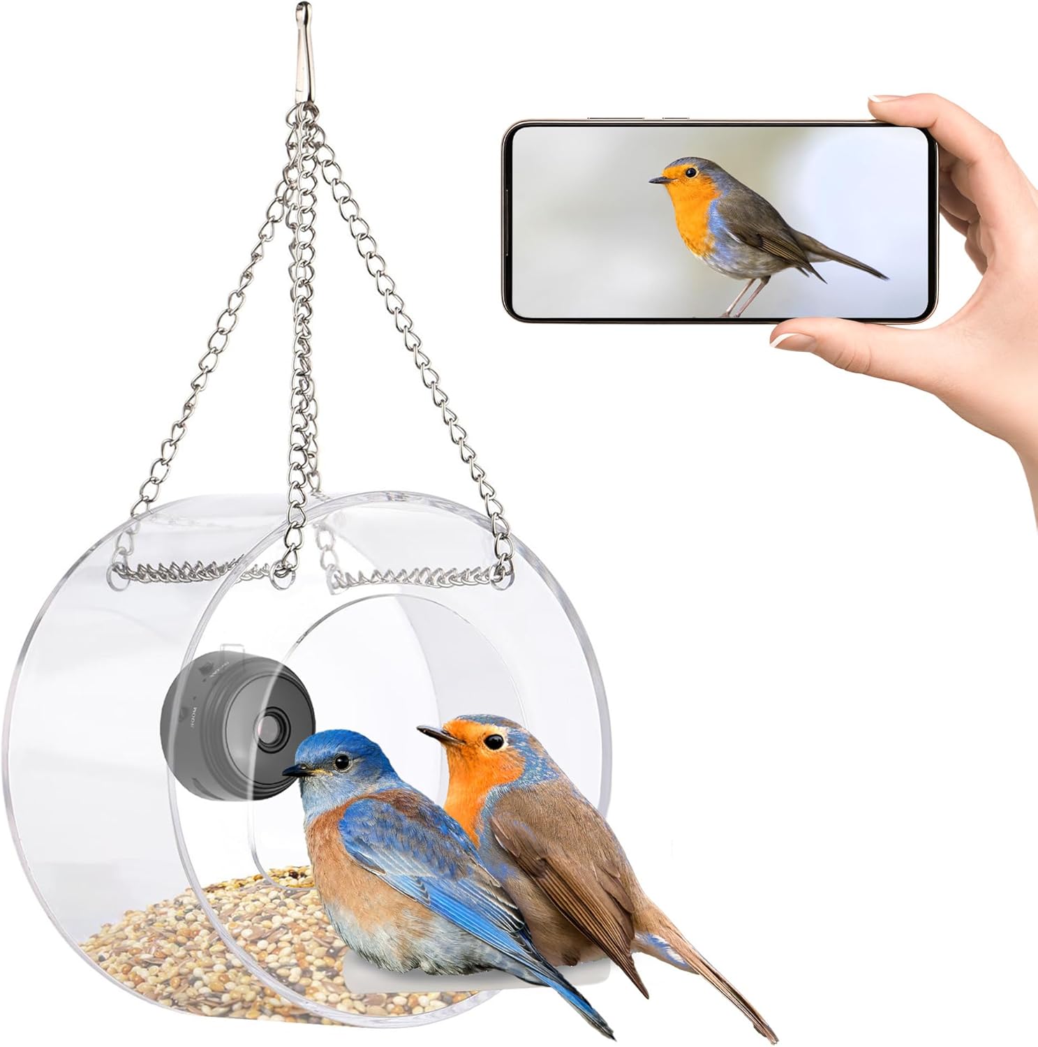 SOFIDA Bird Feeder Cam: Live View, Alerts, Auto Video Capture