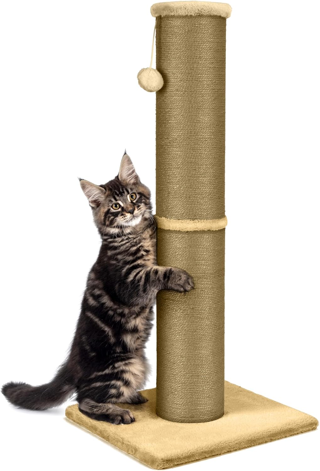 PAWSCRAT Cat Scratching Post 32 Inch High for Indoor Cats