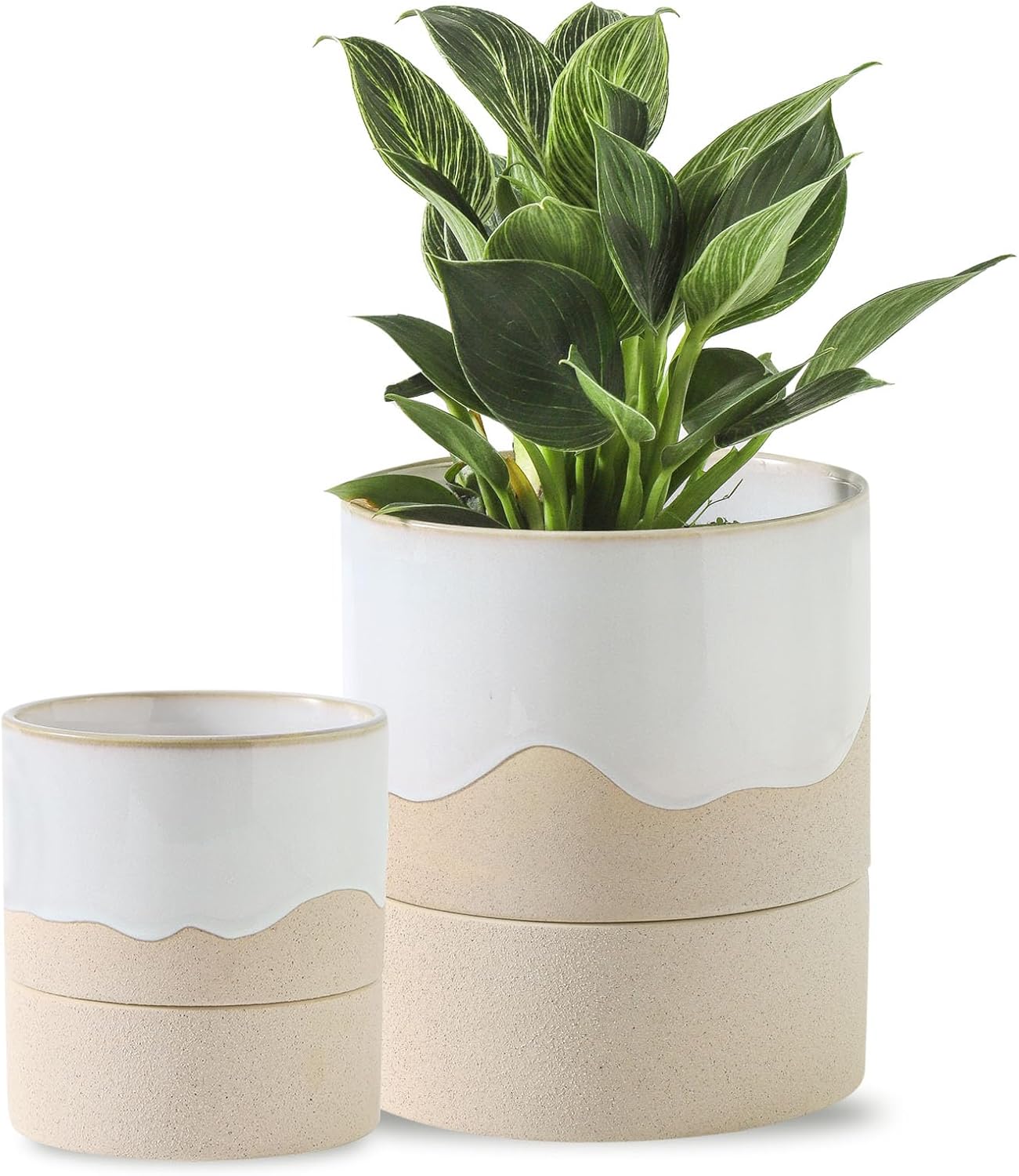 Nihow Self Watering Plant Pot for Indoor Plants - White & Nature