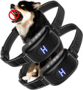 Dog Bark Collar 2 Pack - Smart Anti-Barking Training for Small