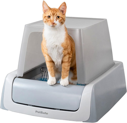 PetSafe Self-Cleaning Cat Litter Box, Includes 1 Disposable Tray