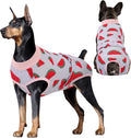 Dog Recovery Suit for Dogs Post Surgery - Comfortable Protective