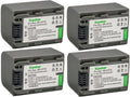 Kastar 4-Pack NP-FP70 / NP-FP71 Camera Battery Pack - Long Runtime