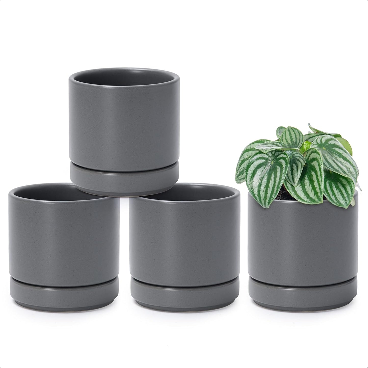 D'vine Dev Set of 4 Small Ceramic Plant Pots for Succulents
