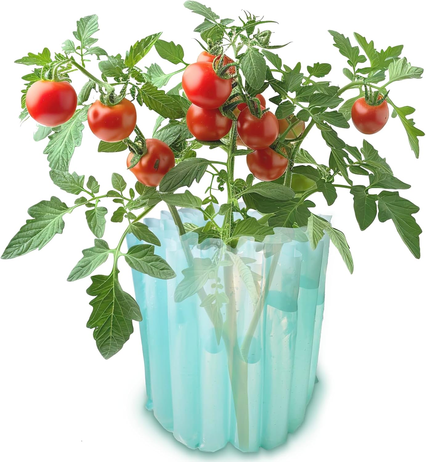 Dalen Gardeneer Season Starter Plant Protector for Early Growth