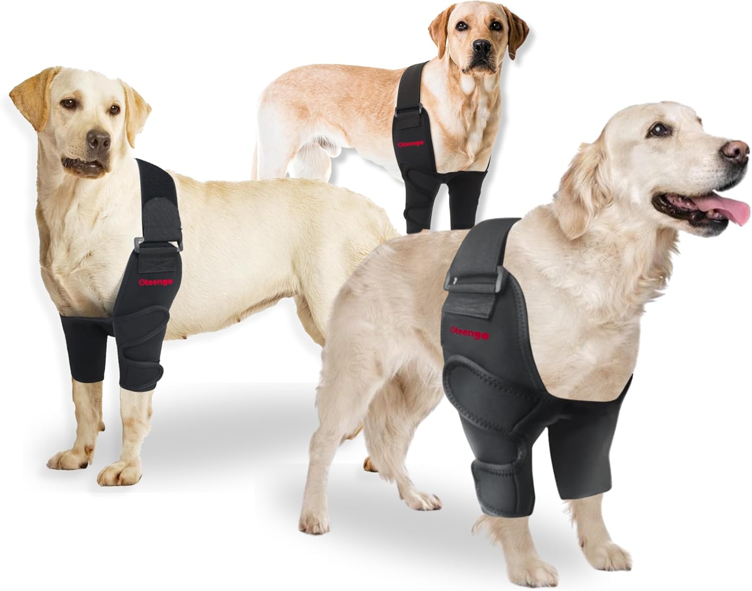 Dog Elbow Protector for Calluses and Arthritis Relief XL