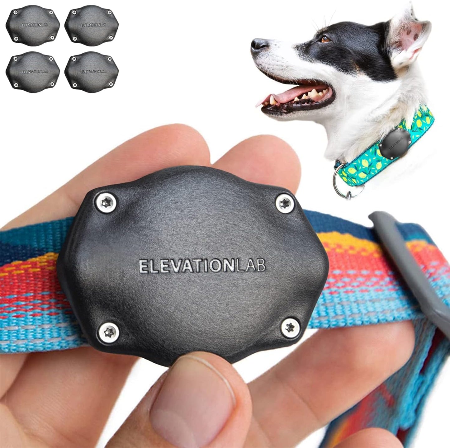 Secure and Comfortable AirTag Dog Collar Mount for All Sizes