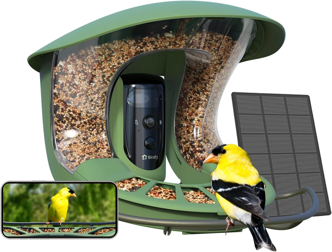 Birdfy 2 Smart Feeder: Solar Dual-Cam Capture