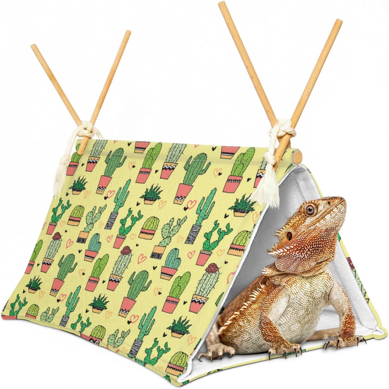 Cactus Hideout for Bearded Dragons - Aipush