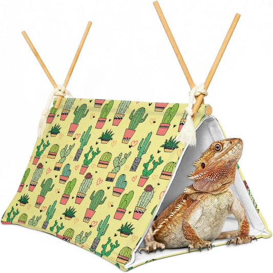 Cactus Hideout for Bearded Dragons - Aipush