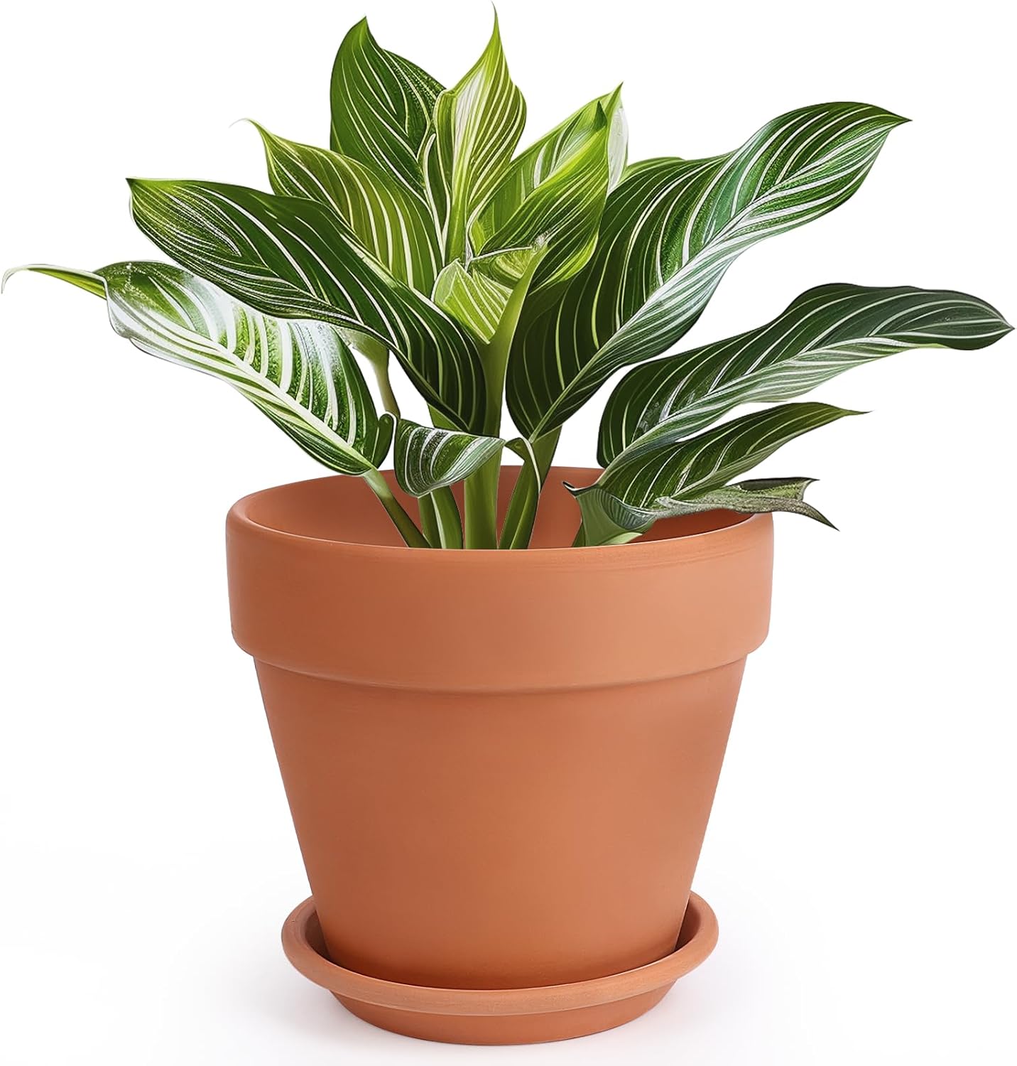 INGOFIN Terracotta Pot with Saucer - 10 Inch Clay Planter
