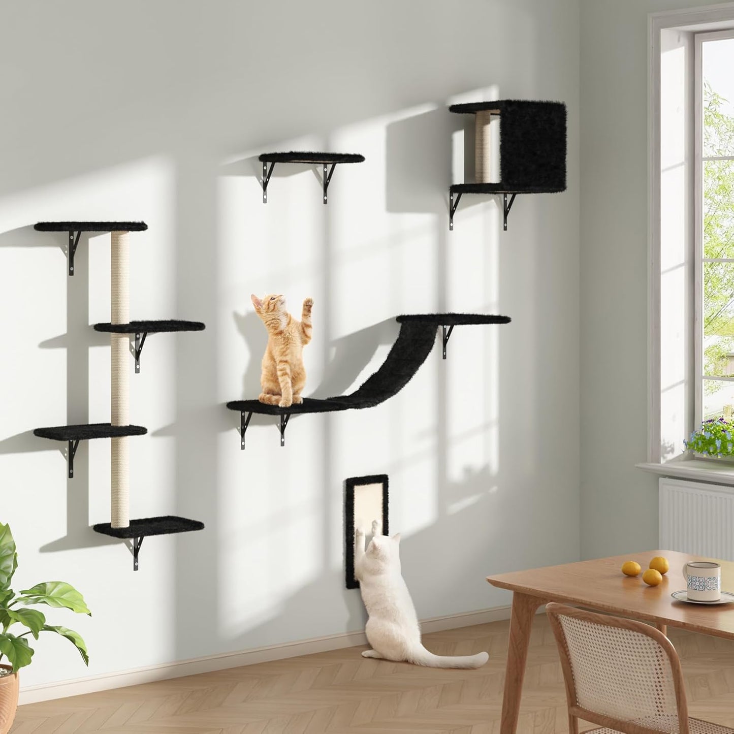 COZIWOW Wall Mounted Cat Furniture Set of 5 for Active Cats