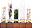 5Pcs Dried Flowers Book Shelf Decor - Natural Forest Green Plants