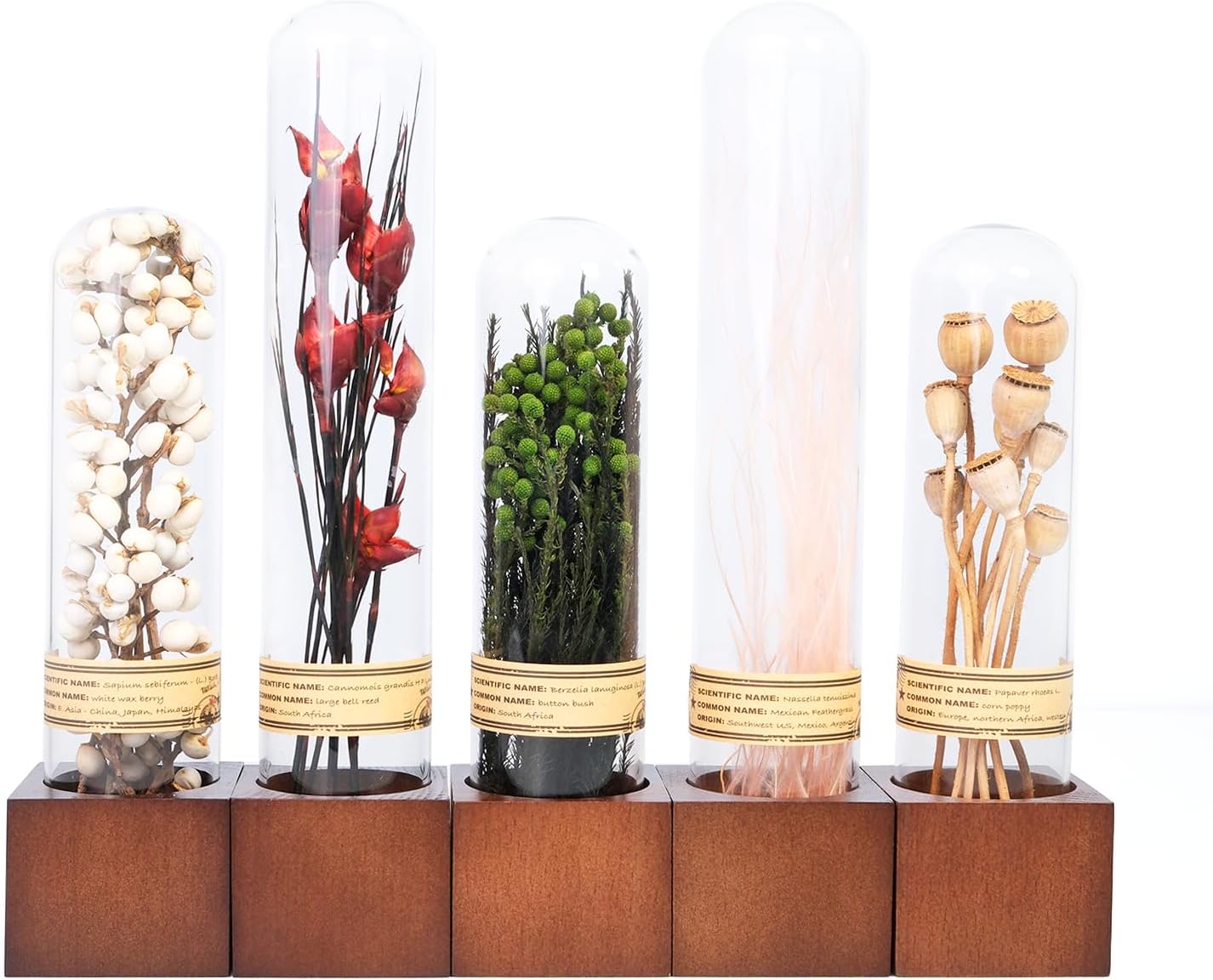 5Pcs Dried Flowers Book Shelf Decor for Unique Home Styling