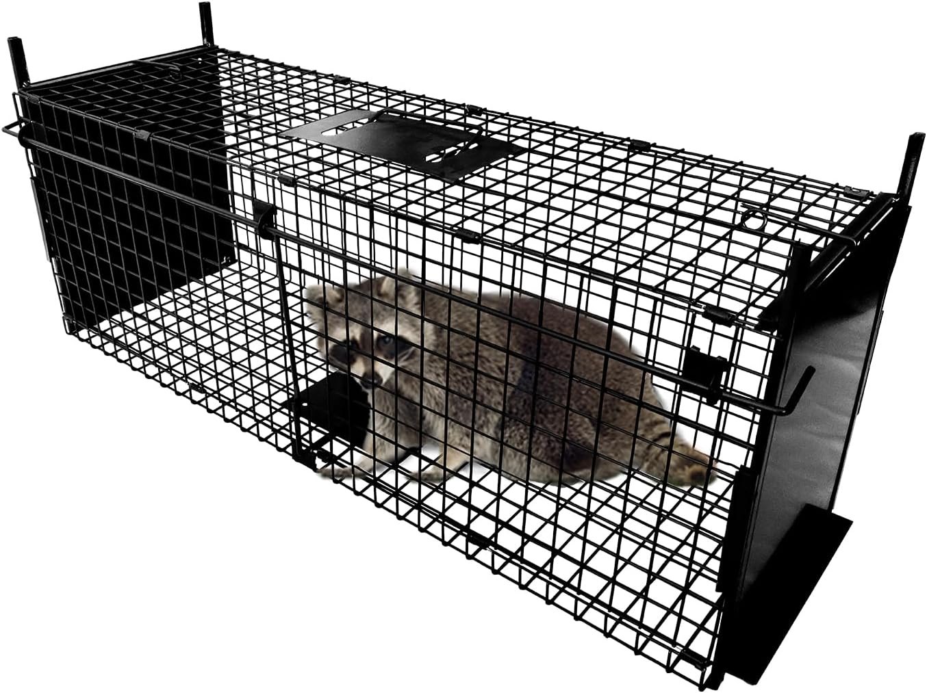 Humane Live Animal Trap for Rabbits, Cats, and More